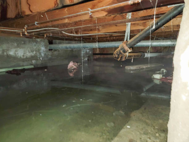 Best Wood Floor Water Damage Restoration in Surgoinsville, TN