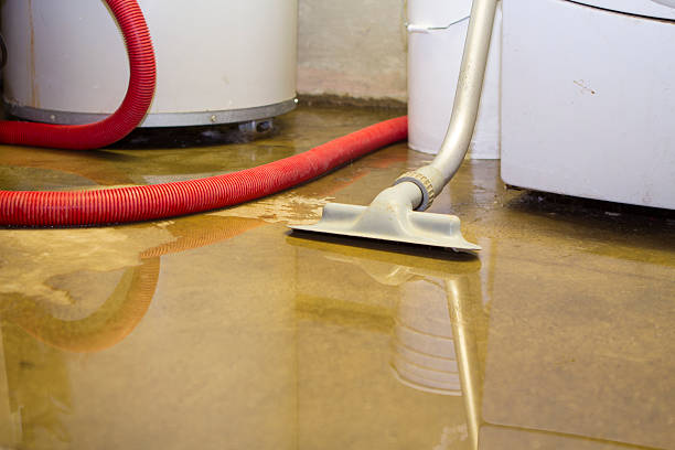 Best Carpet and Upholstery Water Damage Restoration in Surgoinsville, TN